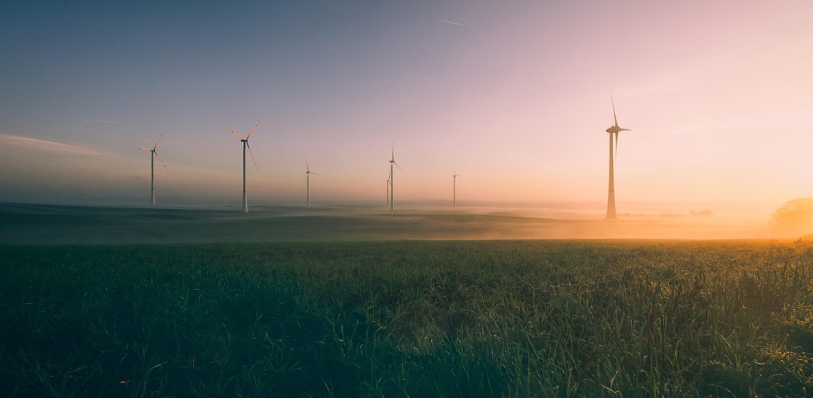 Com análise crítica da transição energética, pesquisador do IE Unicamp vence prêmio Ecoeco 2025
