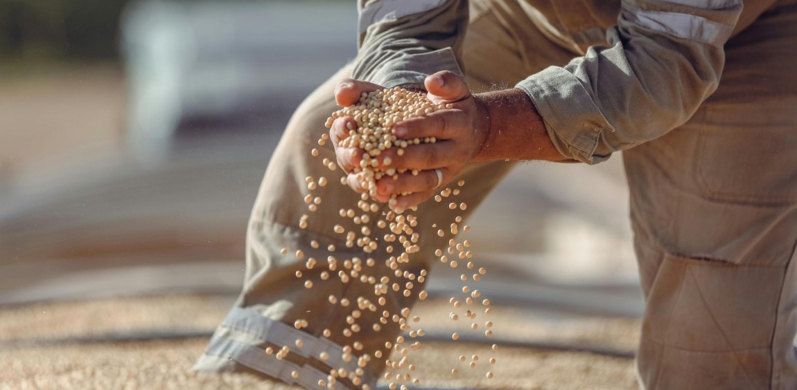 Resenha: Dinâmica econômica e o mundo do trabalho no Brasil rural