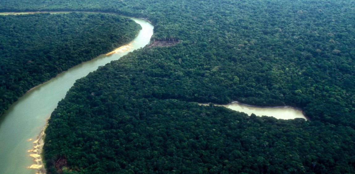 Does land tenure security reduce deforestation? Evidence from the Brazilian Amazon